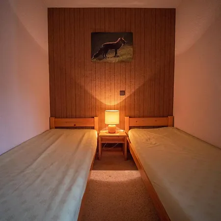 公寓 : Duplex Cosy Au Pied Des Pistes, Balcon, Animaux Admis ! - Fr-1-356-299